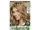 Clairol:Natural Instincts Medium Golden Blonde 8G (Sunflower)