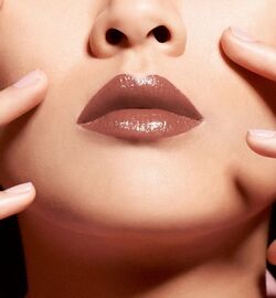 Dior Poisonous 620 Dior Addict Lacquer Stick Beauty Lifestyle Wiki Fandom