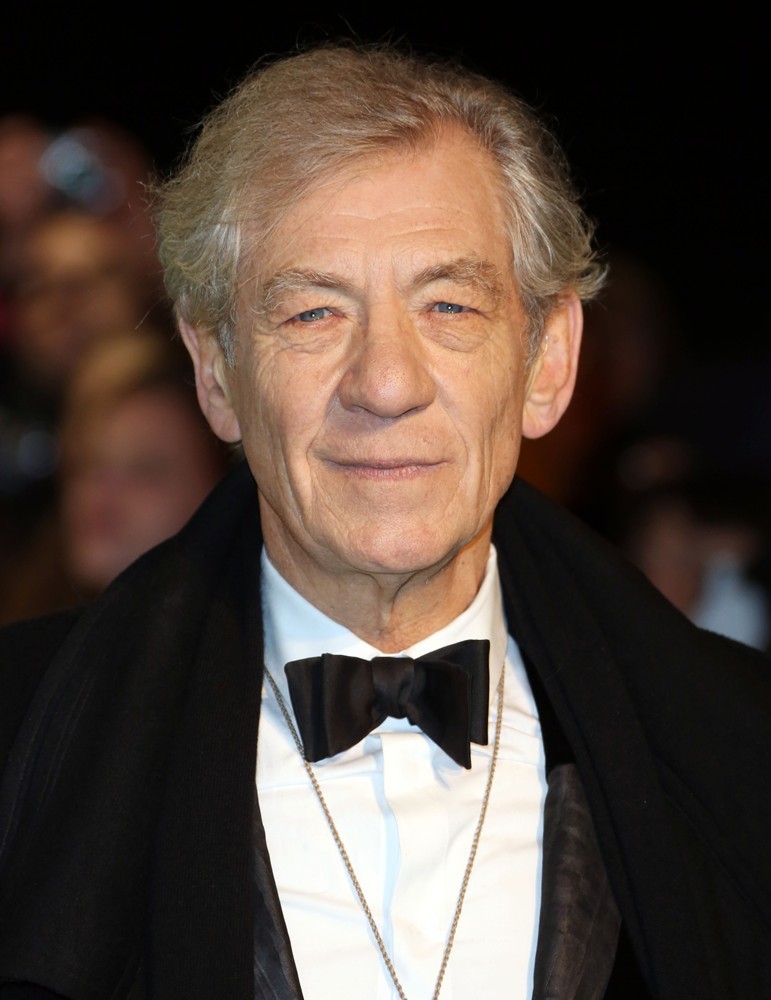 ian mckellen im gandalf and magneto