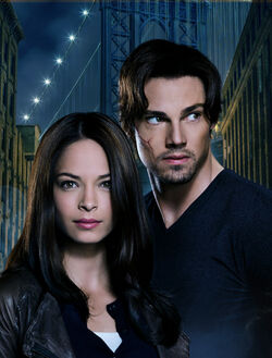 Beauty And The Beast Tv Series Beauty And The Beast Wiki Fandom