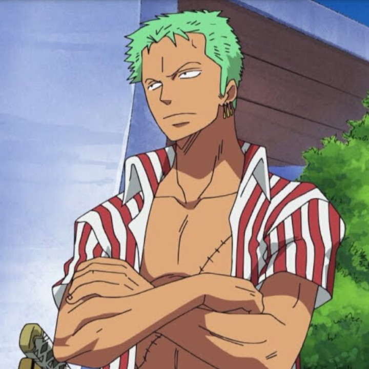 Roronoa Zoro Archives