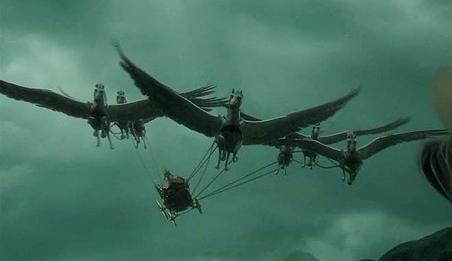 Harry potter beauxbatons carriage shop