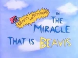 The Miracle That is Beavis