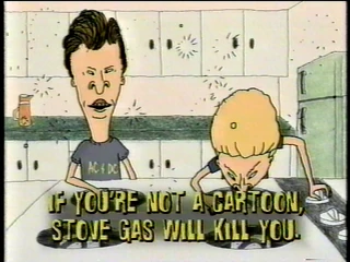 StoveGasDisclaimer
