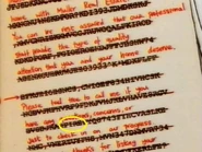 TempInsanityHiddenMessage.jpg (41 KB)