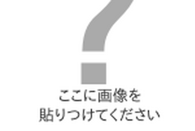 ビー・バップ・ハイスクール 高校与太郎狂騒曲