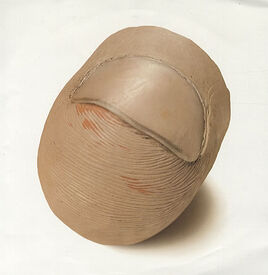 7" cover
