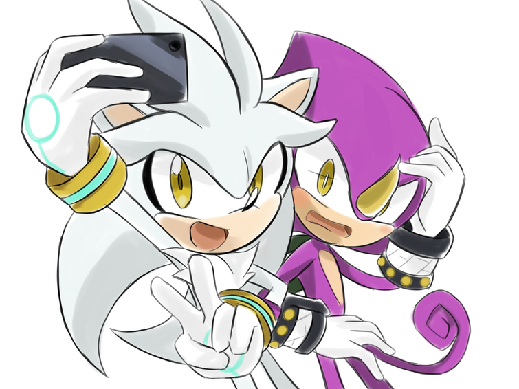 Espio icons in 2023  Sonic art, Sonic, Hedgehog art