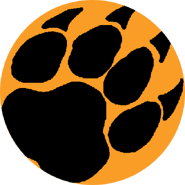 Tabby Bee's scratch token.