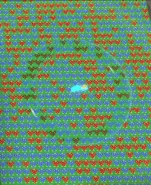 The Supreme Saturator regenerating flowers.