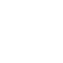 Precise Bee’s original face.