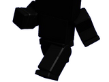 Tunnel Bear