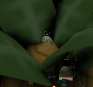 BiggestPineappleTicketToken.png (423 KB) A ticket token on the biggest pineapple at the Pineapple Patch.