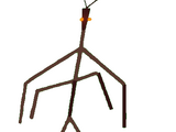 Stick Bug