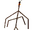 Stick Bug