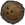 椰子