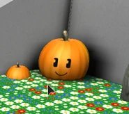 C938AE13-DB0F-425E-855A-B6DCEB4C55C9.png (114 KB) Face in the Pumpkin Patch.