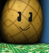PineappleSpitFace.png (225 KB) Face in the Pineapple Patch.