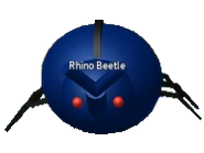 Rhino Beetle