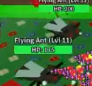 A pair of Flying Ants.