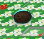 A coconut token.