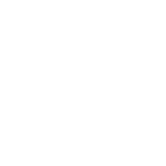 Precise Bee Face.png (7 KB) Precise Bee's Face.