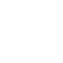 Stubborn Bee's face.