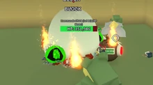 The old Ignite flames damaging .