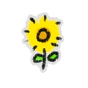 Hivesticker small tickseed