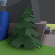 One of the field's pine trees that hasn't moved, located by the Honey Bee Gate.