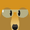 Science Bear Face