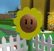 E857DA3F-8E6E-4609-96B4-A46ED03F6D04.png (41 KB) Face in the Sunflower Field.