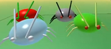 Aphidmodel.png (81 KB) The model for each aphid.