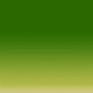 The Normal Sprout's texture.