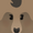 Dapper Bear Face