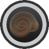 Bronze Shell Amulet.png
