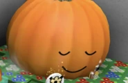 E8657830-EAC1-4DD2-A93A-935AA75D5C72.jpeg (36 KB) The face in the Pumpkin Patch closing its eyes before fading away.