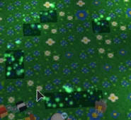 The sparkles left by fireflies.