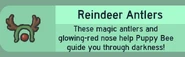 Reindeer Antlers in a player's Beequip Storage.