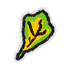 Hivesticker spatulate leaf