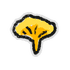 Hivesticker chanterelle mushroom