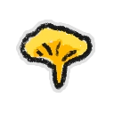 Hivesticker chanterelle mushroom