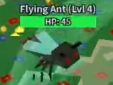 A Flying Ant.