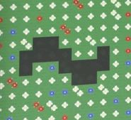 The tilde ~ symbol uncovered in a field.