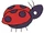 Ladybug
