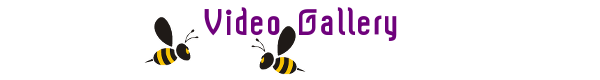 Vidgal.png