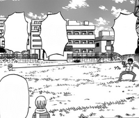 Oga and Baby Beel stand apart eighteen meters away from each other.