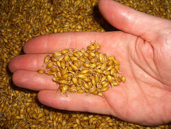 GreenMalt.jpg