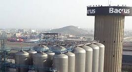 The largest brewing company in Peru