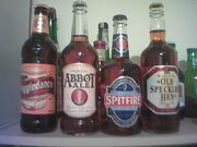 English beers